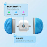 Dog Ball Toy Interactive