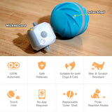 Dog Ball Toy Interactive